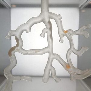 symulacja-simhub-2
