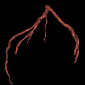 symulacja-simhub-4